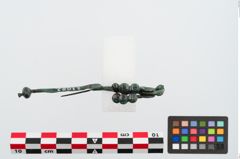 Foto von Bronzeschlangenfibel (NHMW-PRAE-023982)